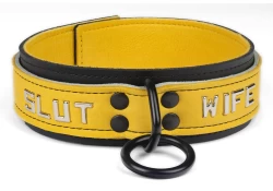 Double strap collar 1.5" wide. Gold leather top, black leather bottom, gold suede inner lining (discontinued), black loop & dee, lettering.