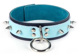 Double strap collar 1.5" wide. Baby blue leather top, black leather bottom, teal suede inner lining, loop & dee, spikes