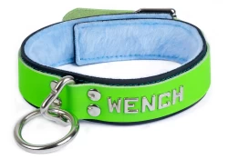 Double strap collar 1.25" wide. Lime green leather top, black leather bottom, baby blue fur inner lining, loop & dee attachment, lettering