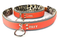 Double strap collars 1.5" wide. Orange leather top, grey leather bottom, baby leopard fur inner lining, loop & dee, lettering.