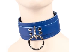 Double strap collar 2" wide. Royal blue leather top, royal blue leather bottom, loop & dee attachment.