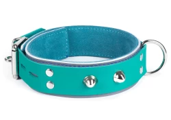 Double strap collar 1.25" wide. Teal leather top, grey leather bottom, teal suede inner lining, d ring in center, domes.