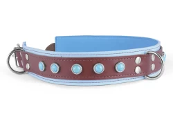 Double strap collar 1.5" wide. Milk chocolate leather top, baby blue leather bottom, baby blue lambkin inner lining, d ring in center, d ring by buckle, turquoise gems (discontinued).