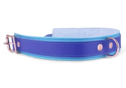 Double strap collar 1.25" wide, made in 3/4 top style. Royal blue leather top, baby blue leather bottom, baby blue fur inner lining. Rose-gold d ring, rose-gold locking buckle.