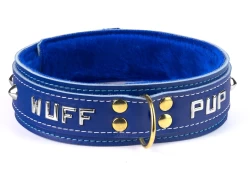 Double strap collar 1.5" wide. Royal blue leather top and bottom, royal blue fur inner lining, brass d ring in center, lettering and domes.
