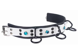 Double strap collar 1.5" wide. White leather top, black leather bottom, black lambskin inner lining, 3 black loop & dee, aquamarine gems, silver locking buckle.