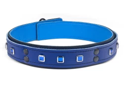 Double strap collar 1.25" wide. Royal blue leather top, black leather bottom, carolina blue leather inner lining, sapphire diamond squares.