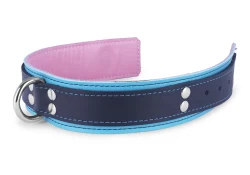 Double strap collar 1.5" wide. Black leather top, baby blue leather bottom, rose lambskin inner lining, d ring in center