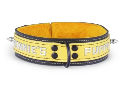 Double strap collar 1.5" wide. Gold leather top, black leather bottom, butternut fur inner lining, black d ring, lettering and spikes
