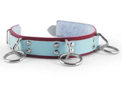 Double strap collar 1.5" wide. Baby blue leather top, red leather bottom, baby fur inner lining, 3 loop & dee attachment.