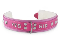 Double strap collar 1.5" wide. Fuchsia leather top, rose leather bottom, white fur inner lining, d ring, lettering, pyramid studs