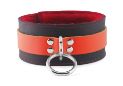 Double strap collar 2" wide. Orange leather top, black leather bottom, red fur inner lining, loop & dee.