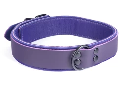 Double strap collar 1.25" wide. Midnight Purple leather top, purple lambskin outer layer bottom, purple lambskin inner lining, black d ring.
