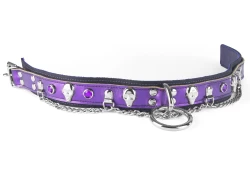 Double strap collar 1.5" wide. Purple metallic leather top black leather bottom, loop & dee, alternating skulls and amethyst gems and chains (upon special request).
