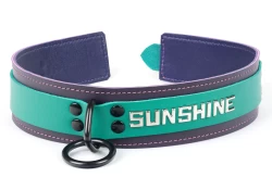 Double strap collar 1.25" wide. Teal leather top, Midnight Purple leather bottom, purple lambskin inner lining, black loop & dee, lettering.