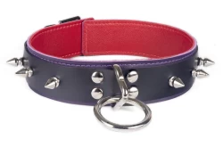 Double strap collar 1.5" wide. Rubber top, Midnight Purple leather bottom, red lambskin inner lining, loop & dee, spikes.