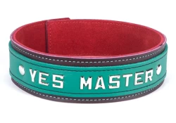 Double strap collar 1.5" wide. Teal leather top, chocolate raspberry leather bottom, red suede inner lining, lettering.
