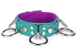 Double strap collar 1.25" wide. Teal leather top, teal leather bottom, violet suede inner lining, 3 loop & dee, round dots.