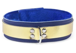 Double strap collar 1.75" wide. Gold metallic leather top, royal blue leather bottom, royal blue fur inner lining, d ring.