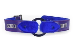 1.25" WIDE O-RING COLLAR WITH WINGS. PURPLE LAMBSKIN OUTER LAYER, ROYAL BLUE FUR INNER LINING, BLACK O-RING, LETTERING.