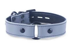 1" wide O-Ring collar with no wings. Grey leather, black lambskin inner lining, black o-ring*, black d ring by buckle, black locking buckle. *Use 1" black o-ring on the collar (typically the o-ring used on a 1" wide collar will be 1.25" wide)