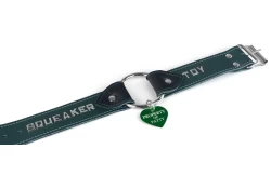 1.5" wide O-Ring collar with wings. Forest green leather, black lambskin inner lining, silver hardware, lettering, with jumbo green custom tag attached.