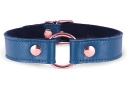 1" wide O-Ring collar without wings. Teal lambskin outer layer, black fur inner lining, rose gold o-ring, rose gold buckle.
