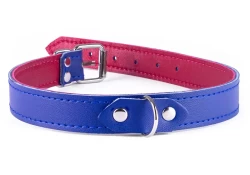 Single strap collar 0.75" wide. Royal blue leather, red lambskin inner lining, d ring in center.