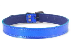 Single strap collar 0.75" wide. Blue metallic leather, royal blue lambskin inner lining, nickel-free buckle.