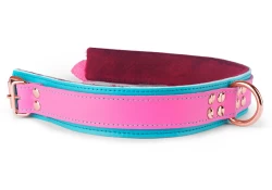 Heavy duty collar 1.5" wide. Pink leather top, teal leather bottom, burgundy fur inner lining, reinforced rose-gold d ring, rose-gold buckle.