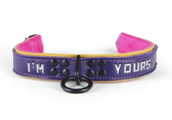 Heavy duty collar 1.25" wide. Purple lambskin outer layer top, gold leather bottom, pink fur inner lining, reinforced black loop & dee, lettering.