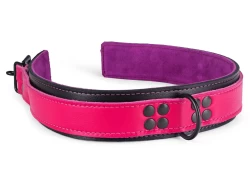Heavy duty collar 1.5" wide. Fuchsia lambskin outer layer, black lambskin outer layer bottom, violet suede inner lining, reinforced black d ring, black locking buckle.