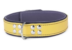Heavy duty collar 1.25" wide. Gold leather top, black leather bottom, grey lambskin inner lining, reinforced d ring.
