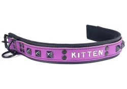 Heavy duty collar 1.5" wide. Lavender leather* top, black leather bottom, lettering in center, black pyramids, reinforced black loop & dee, black locking buckle.