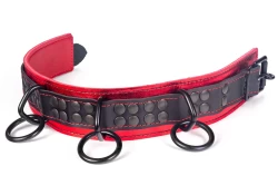 Heavy duty collar 1.75" wide. Black leather top, red metallic leather bottom, red lambskin inner lining, 3 reinforced black loop & dee, black locking buckle.