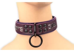 Heavy duty collar 1.25" wide. Chocolate raspberry leather top, Midnight Purple leather bottom, reinforced black loop & dee, lettering.