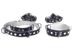 Double strap collar (on the right, front), and single strap belt (on the left, front), and single strap wrist and ankle cuffs (on the back).