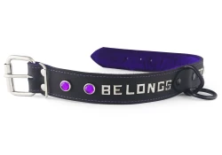 Single strap collar 1.25" wide. Black leather, purple fur inner lining, black loop & dee in center, lettering, amethyst gems.