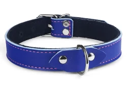 Single strap collar 1" wide. Royal blue leather, black suede inner lining, silver d ring in center.