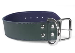 Single strap collar 1.75" wide. Forest green leather, purple lambskin inner lining, d ring by buckle.