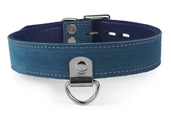 Single strap collar 1" wide. Teal suede outer layer, purple lambskin inner lining, large d ring with clamp in center.