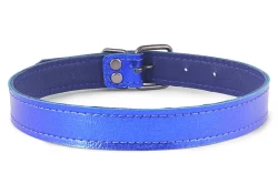 collar width: 0.75". Blue metallic leather, royal blue lambskin inner lining, nickel-free buckle.