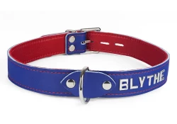collar width: 1". Royal blue leather, red lambskin inner lining, d ring in center, lettering.