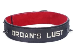 Double strap collar 1.25" wide. Black leather top, black leather bottom, red suede inner lining, lettering in center, black spikes.