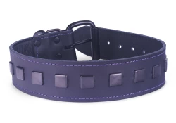 Single strap collar 1.5" wide. Black leather, black leather inner lining, black squares, black buckle, black d ring by buckle.