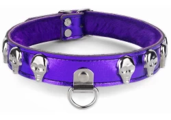 Single strap collar 1" wide. Purple metallic leather, purple fur inner lining, large d ring with clamp, skulls (have to be applied through the fur).