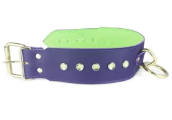 Single strap collar 2.25" wide. Midnight Purple leather, lime green fur inner lining, brass loop & dee, lime green gems, brass buckle.