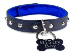 Single strap collar 1" wide. Black leather, royal blue fur inner lining, silver loop & dee (with jumbo black bone custom tag), domes