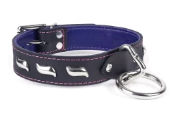 Single strap collar 1" wide. Black leather, purple lambskin inner lining, silver loop & dee, waves.