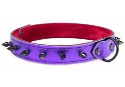 Single strap collar 1" wide. Purple metallic leather, red fur inner lining, black d ring, black spikes.